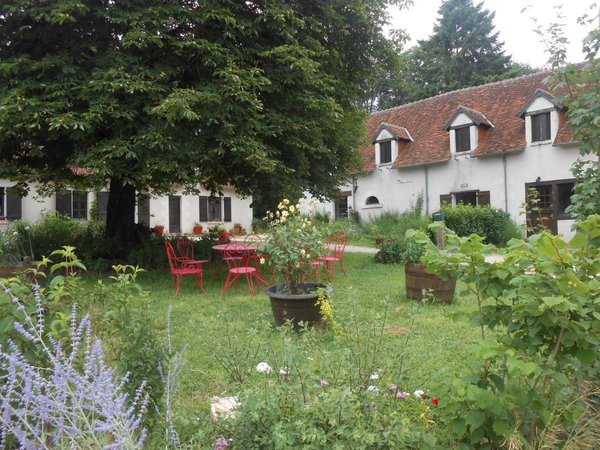 B&B La Ferme Des Bordes Pontlevoy Exteriör bild