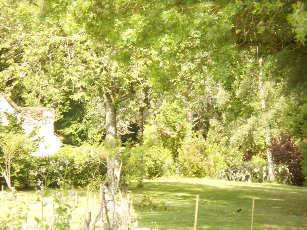B&B La Ferme Des Bordes Pontlevoy Exteriör bild