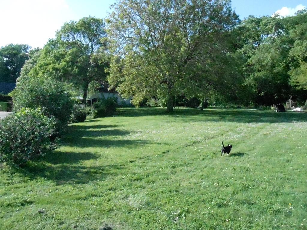 B&B La Ferme Des Bordes Pontlevoy Exteriör bild