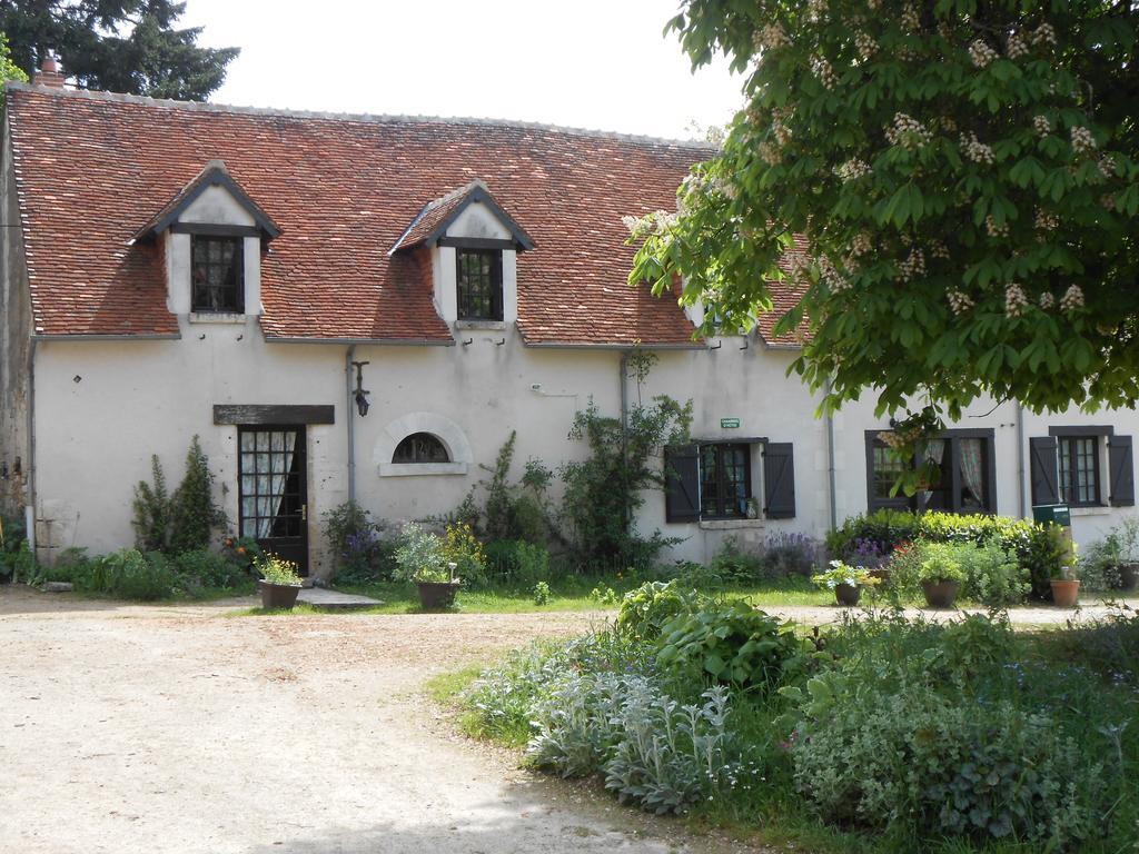 B&B La Ferme Des Bordes Pontlevoy Exteriör bild
